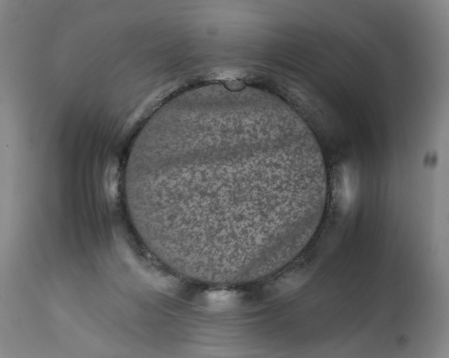 X0000113240216200909241554