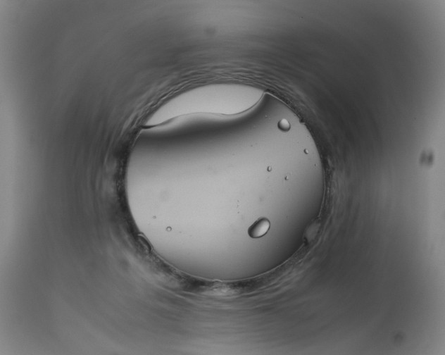 X0000113240217200909241554