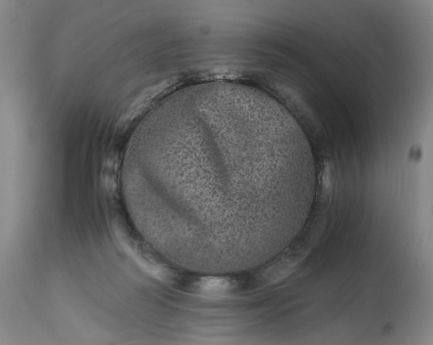 X0000113240218200909241554