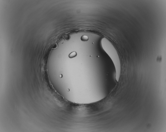 X0000113240219200909241554