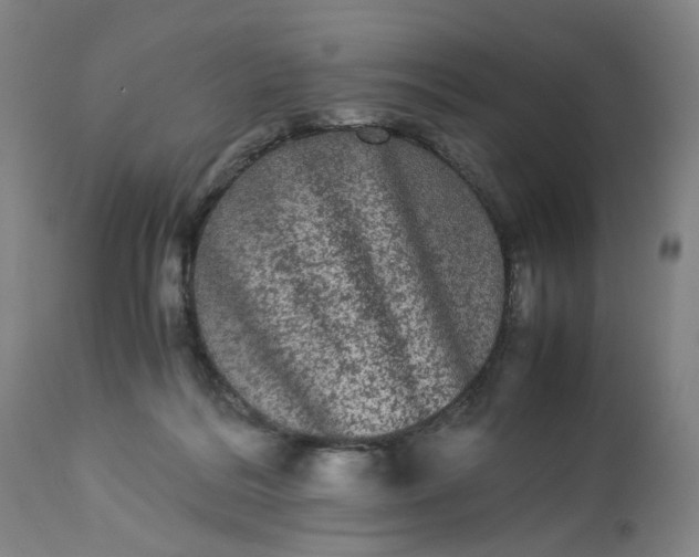 X0000113240220200909241554