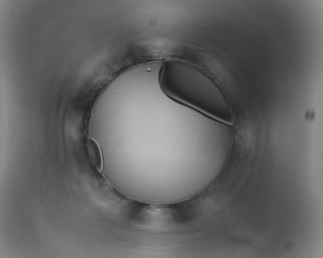 X0000113240221200909241554