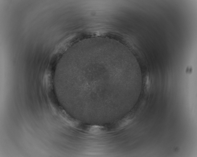 X0000113240222200909241554