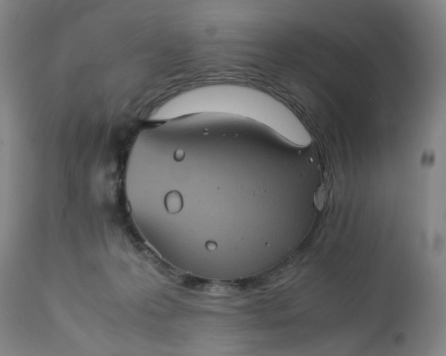 X0000113240223200909241554