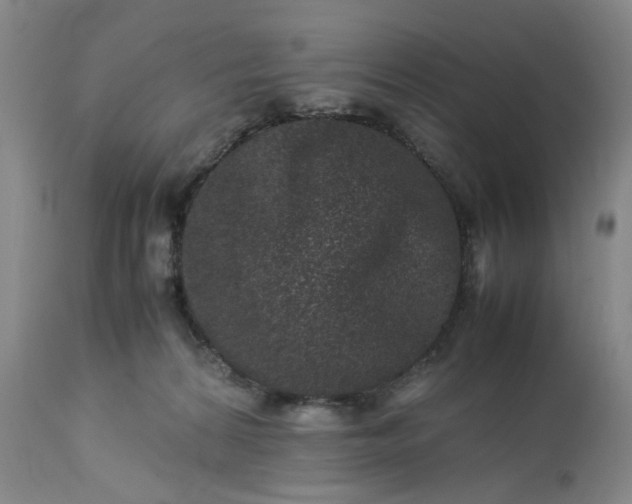 X0000113240224200909241554