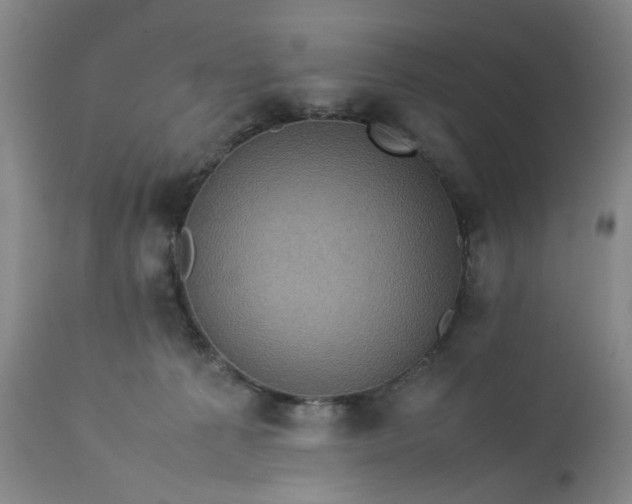 X0000113240225200909241554