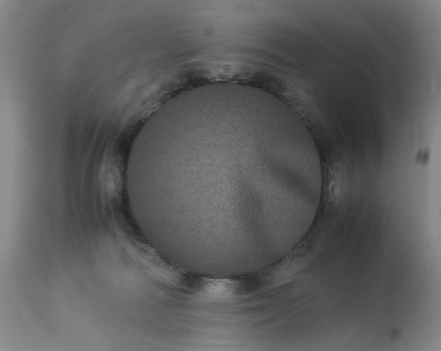 X0000113240226200909241554