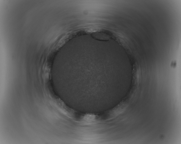 X0000113240227200909241554