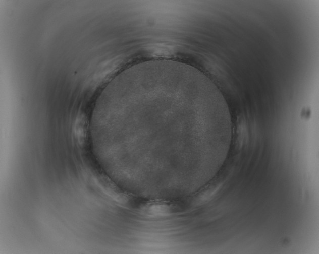 X0000113240228200909241554