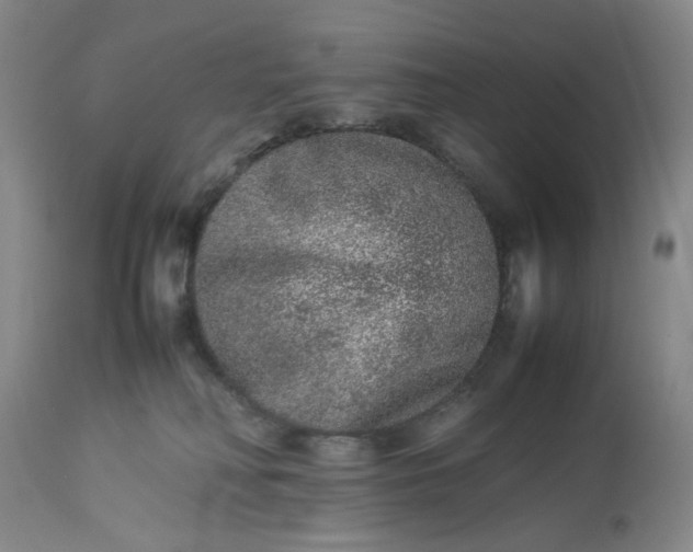 X0000113240230200909241554