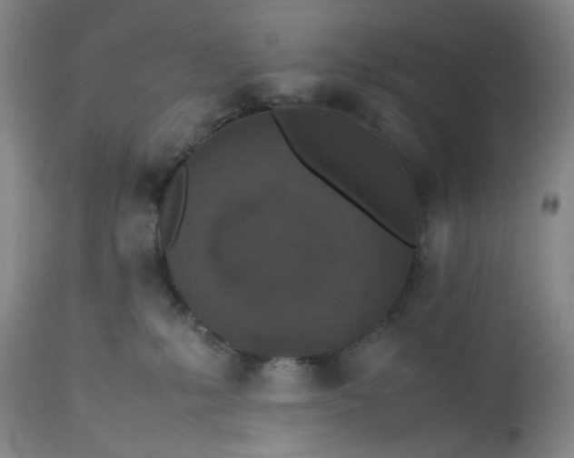 X0000113240231200909241554