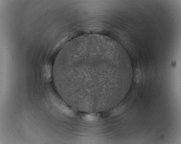 X0000113240232200909241554