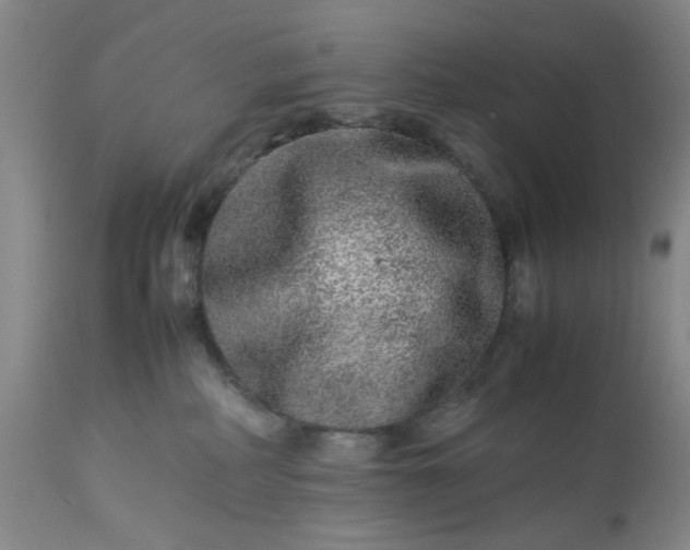 X0000113240234200909241554