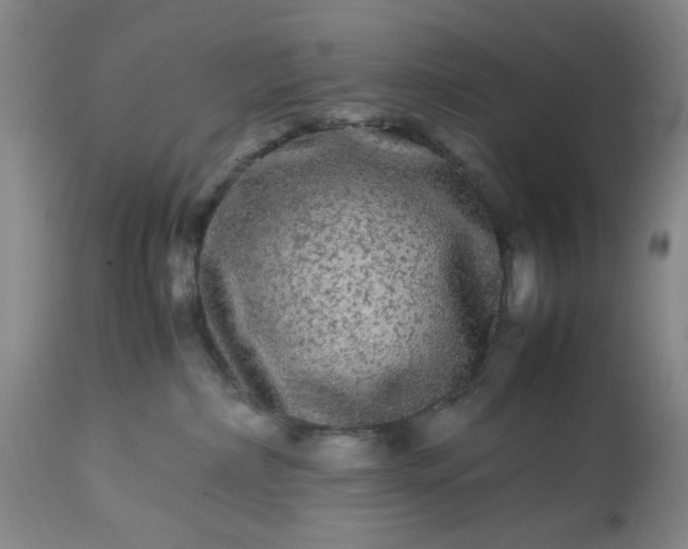 X0000113240236200909241554