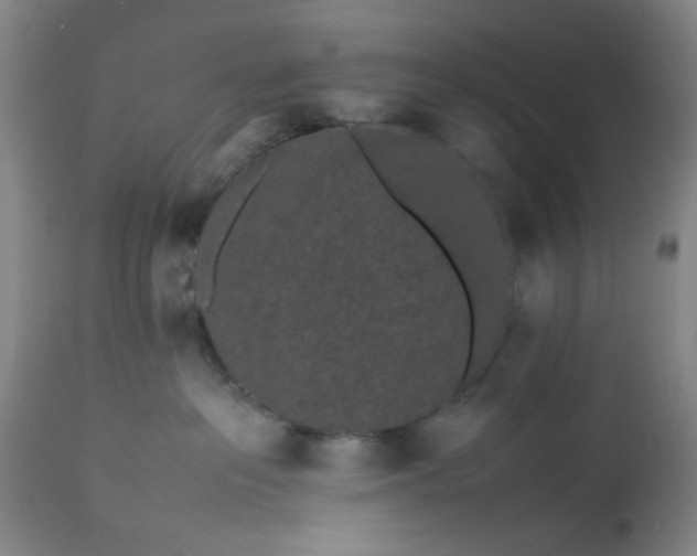 X0000113240237200909241554