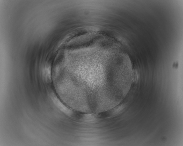 X0000113240238200909241554