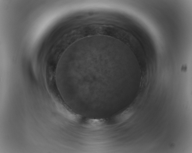 X0000113240239200909241554