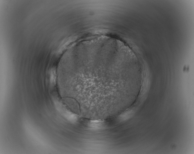 X0000113240240200909241554