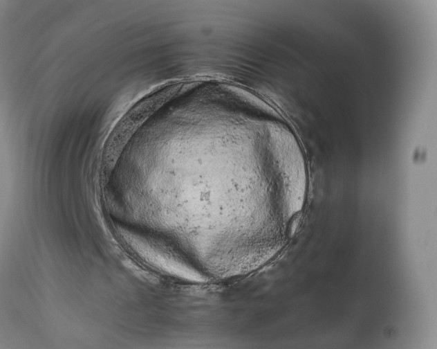 X0000113240241200909241553