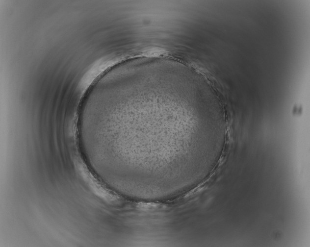 X0000113240242200909241553