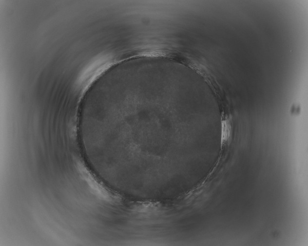 X0000113240243200909241553