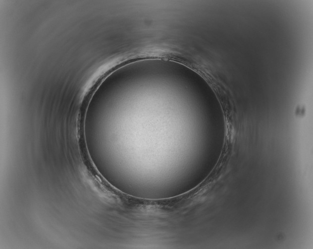 X0000113240244200909241553