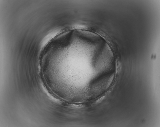 X0000113240245200909241553