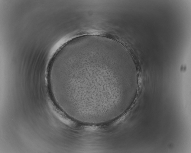 X0000113240246200909241553