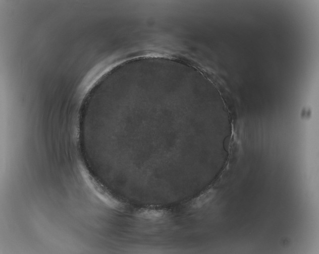 X0000113240247200909241553