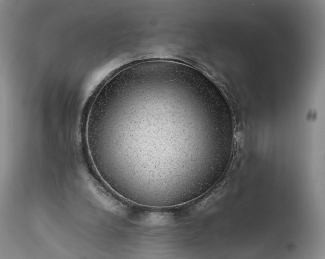 X0000113240248200909241553