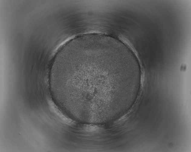 X0000113240249200909241553