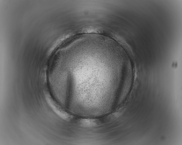 X0000113240250200909241553