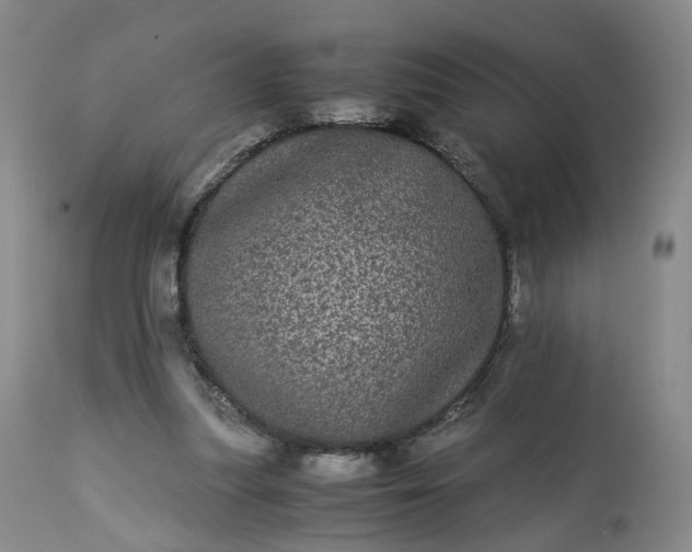 X0000113240251200909241553