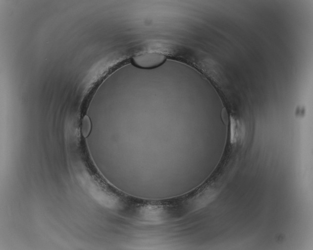 X0000113240252200909241553