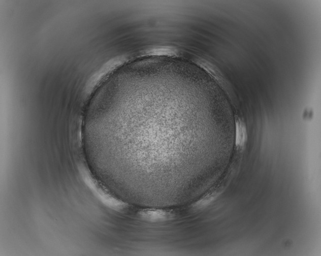 X0000113240253200909241553