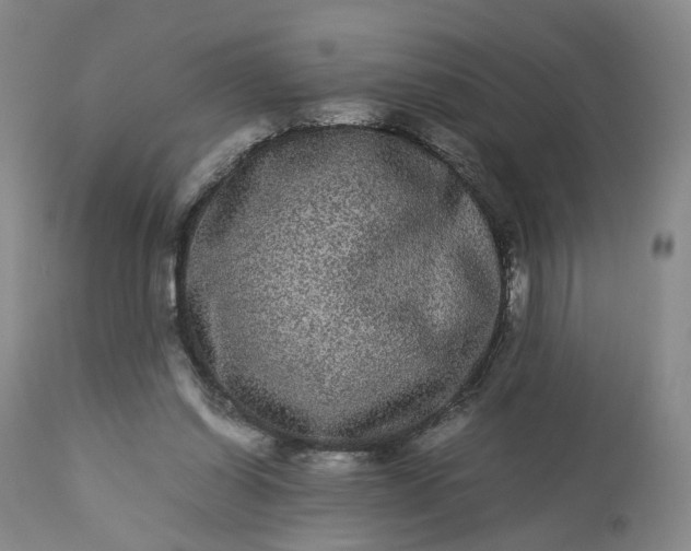 X0000113240254200909241553