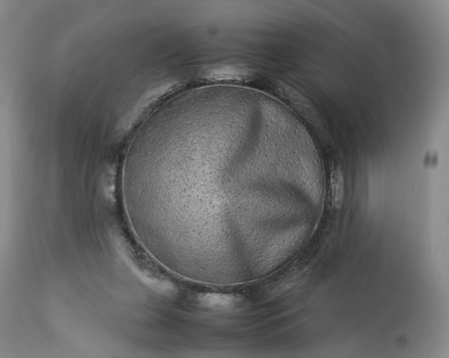 X0000113240255200909241553