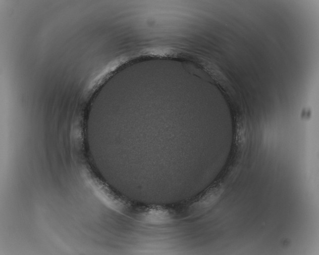 X0000113240256200909241553