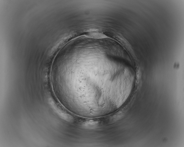 X0000113240257200909241553