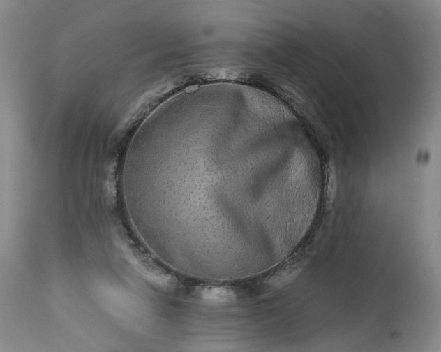 X0000113240258200909241553