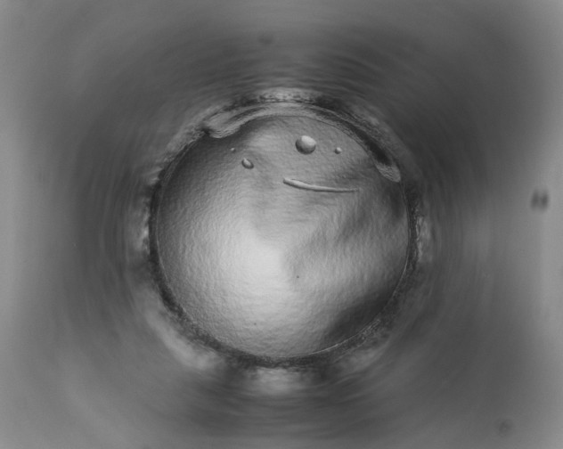 X0000113240259200909241553