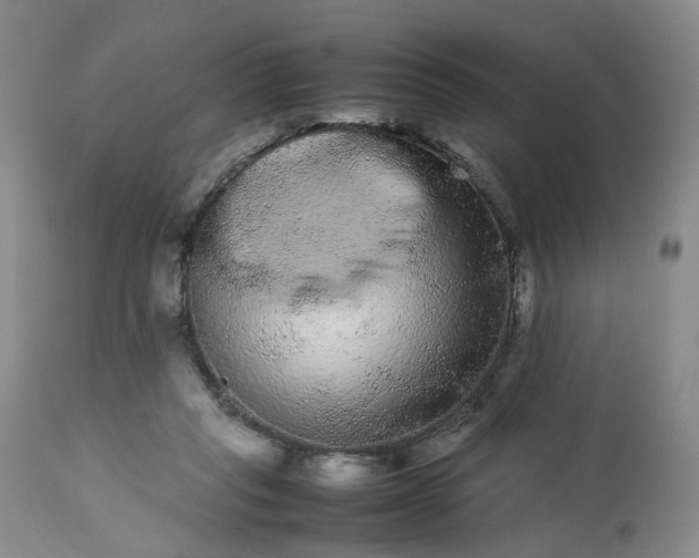 X0000113240261200909241553