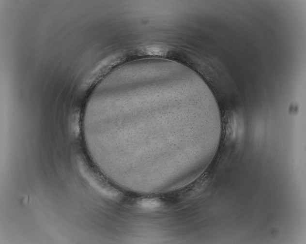 X0000113240262200909241553