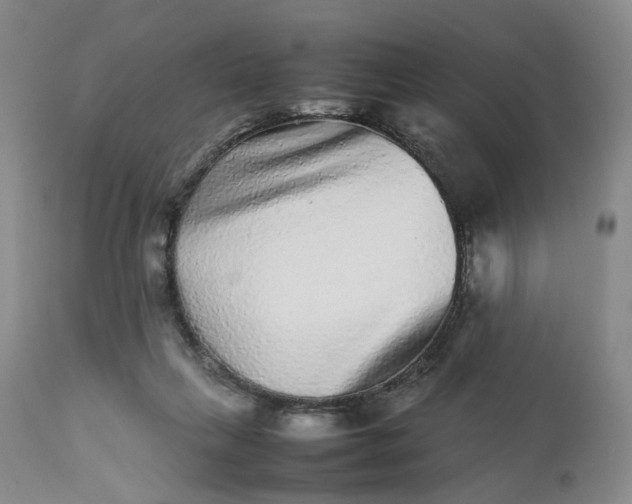 X0000113240263200909241553