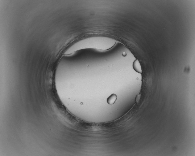 X0000113240264200909241553