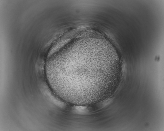 X0000113240265200909241553