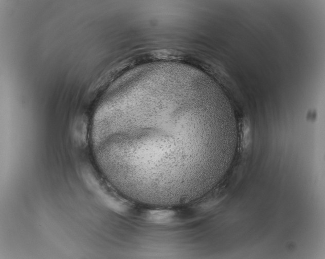 X0000113240266200909241553