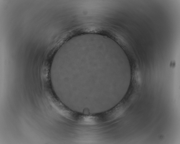 X0000113240268200909241553