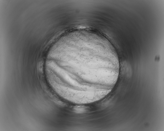 X0000113240269200909241554