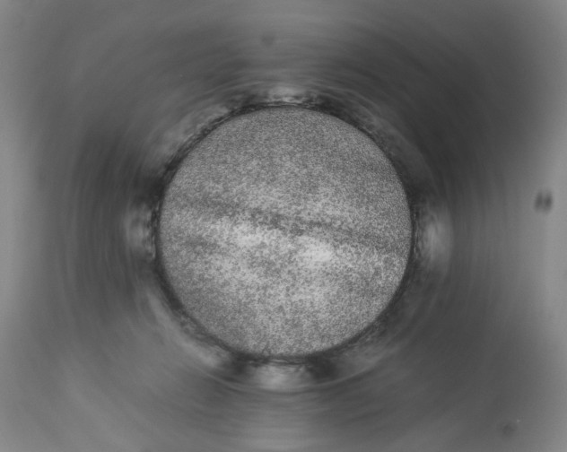 X0000113240270200909241554